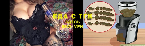 сатива Беломорск