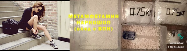 сатива Беломорск