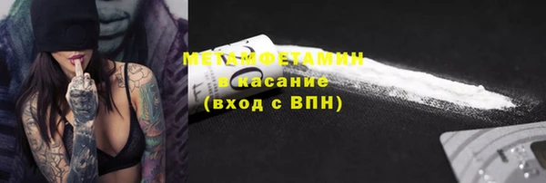 сатива Беломорск