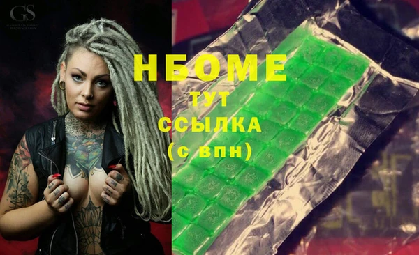 сатива Беломорск