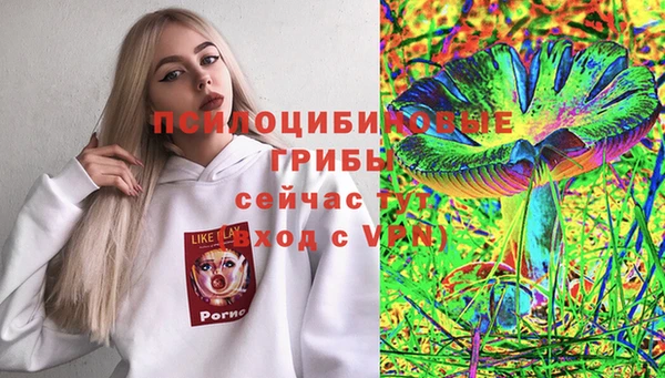 apvp Белокуриха