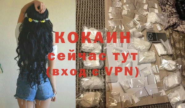 сатива Беломорск
